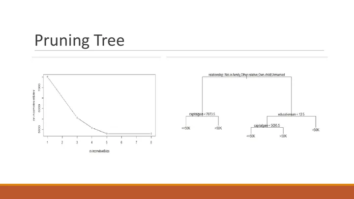 Original R study, slide 17: Tree pruning