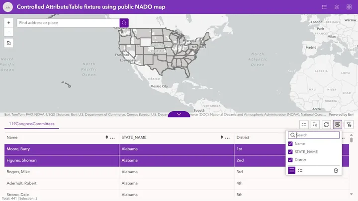 Controlled Table test using synthetic widget settings and a public map: 441 records, three permitted columns, and two selected rows.